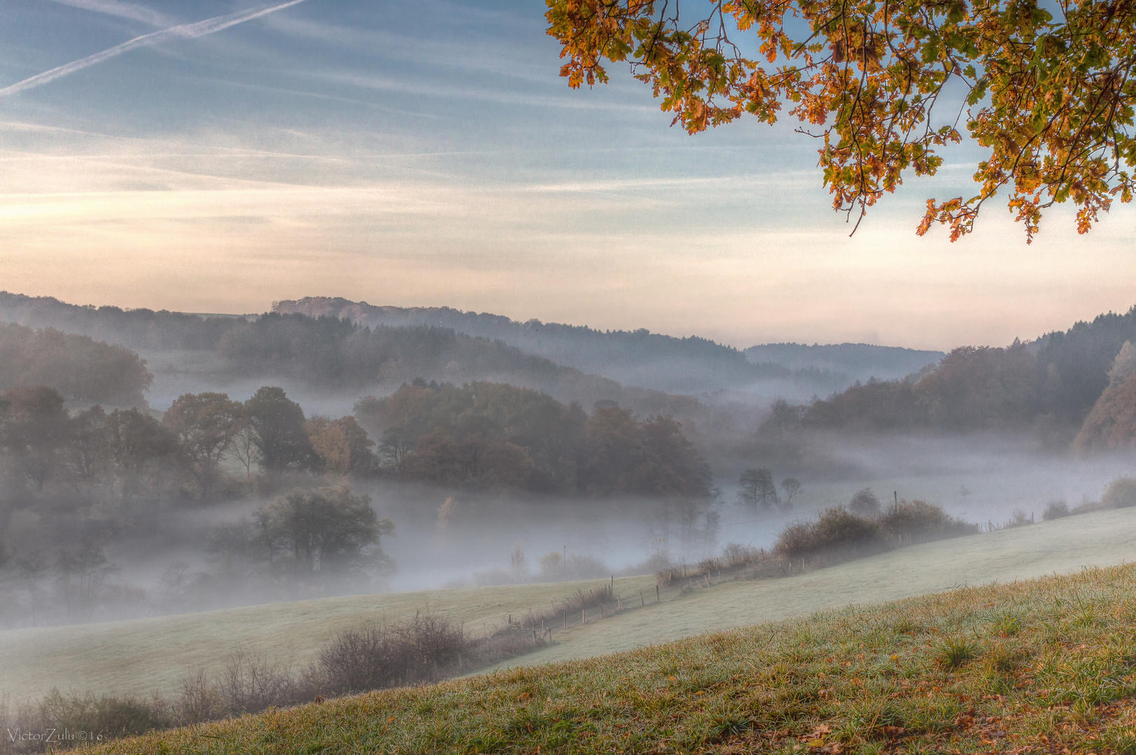 Herbst Nebel