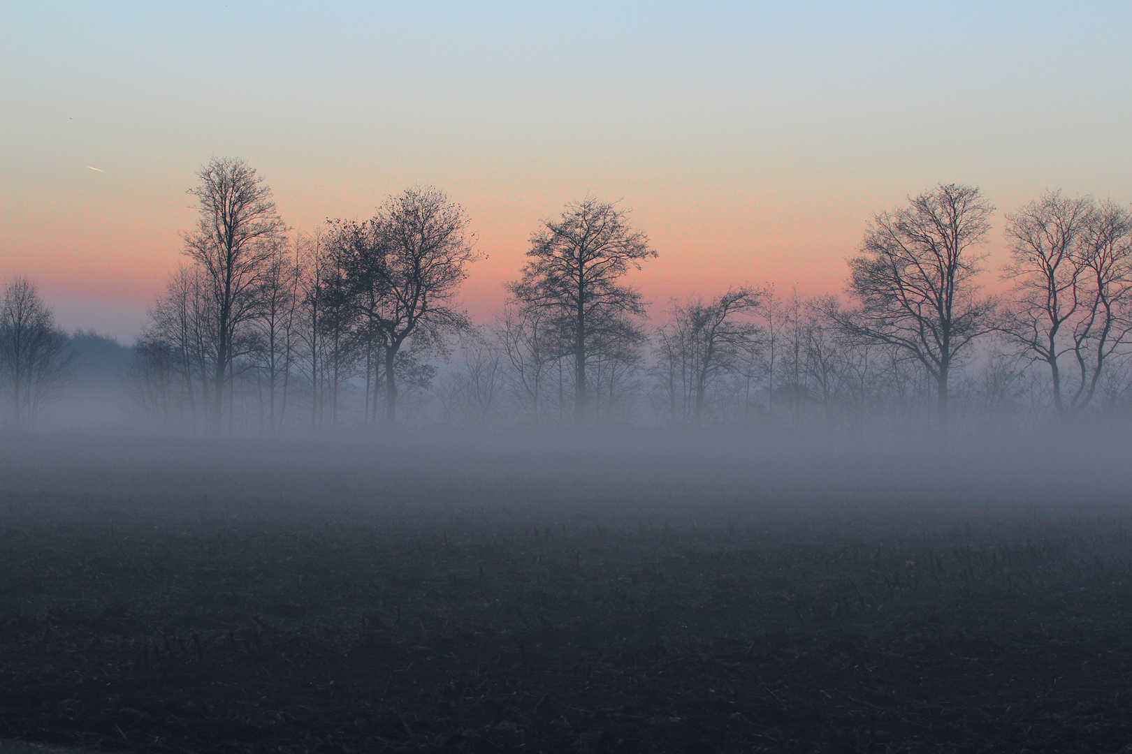 Herbst Nebel