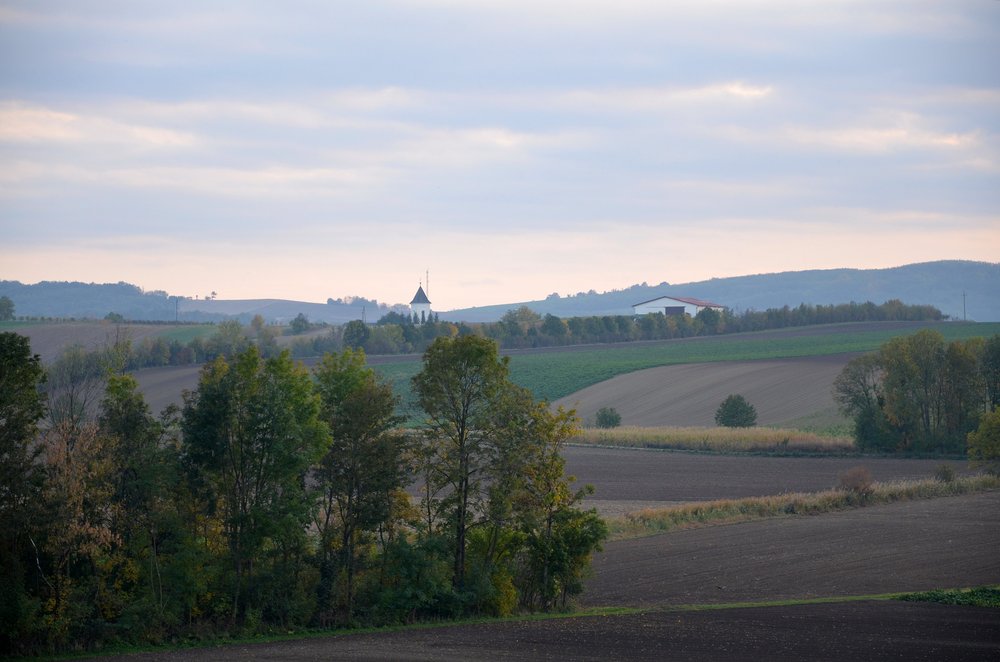 Herbst-Nebel