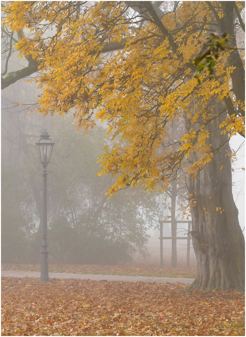 Herbst-Nebel