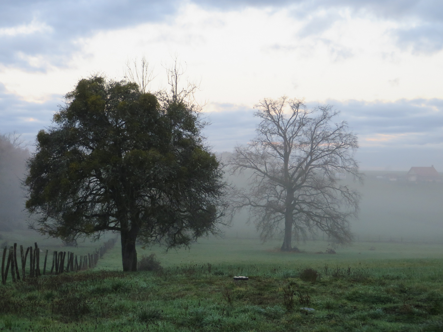 Herbst Nebel