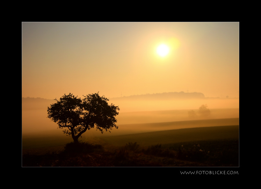 Herbst Nebel