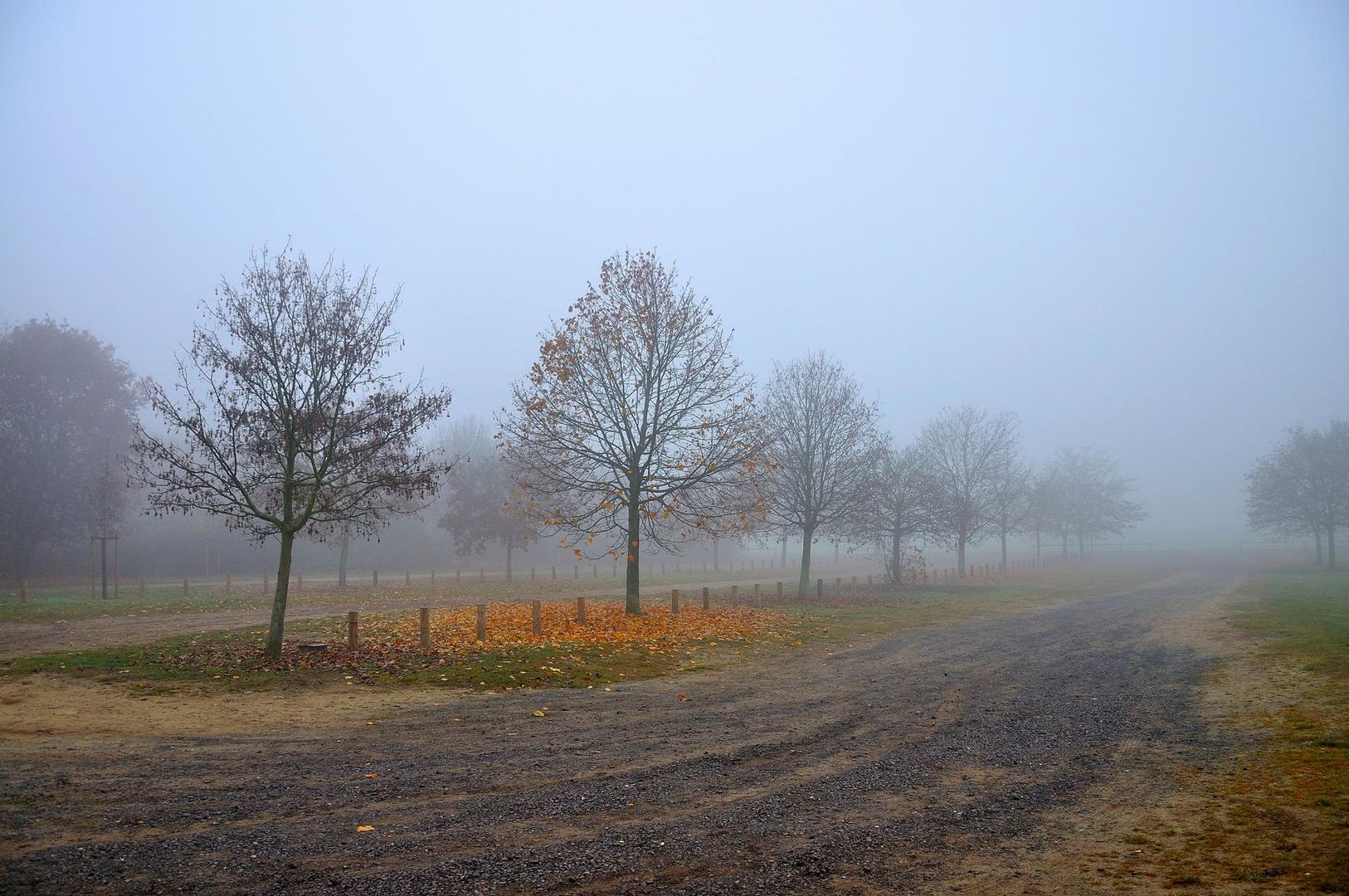 Herbst-Nebel am O-See - Parkplatz
