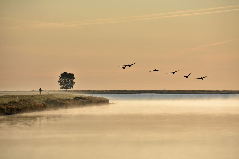 Herbst-Nebel...