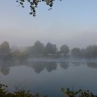 Herbst - NEBEL