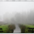 Herbst Nebel