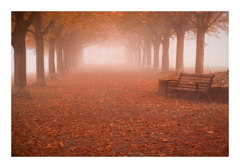 Herbst Nebel