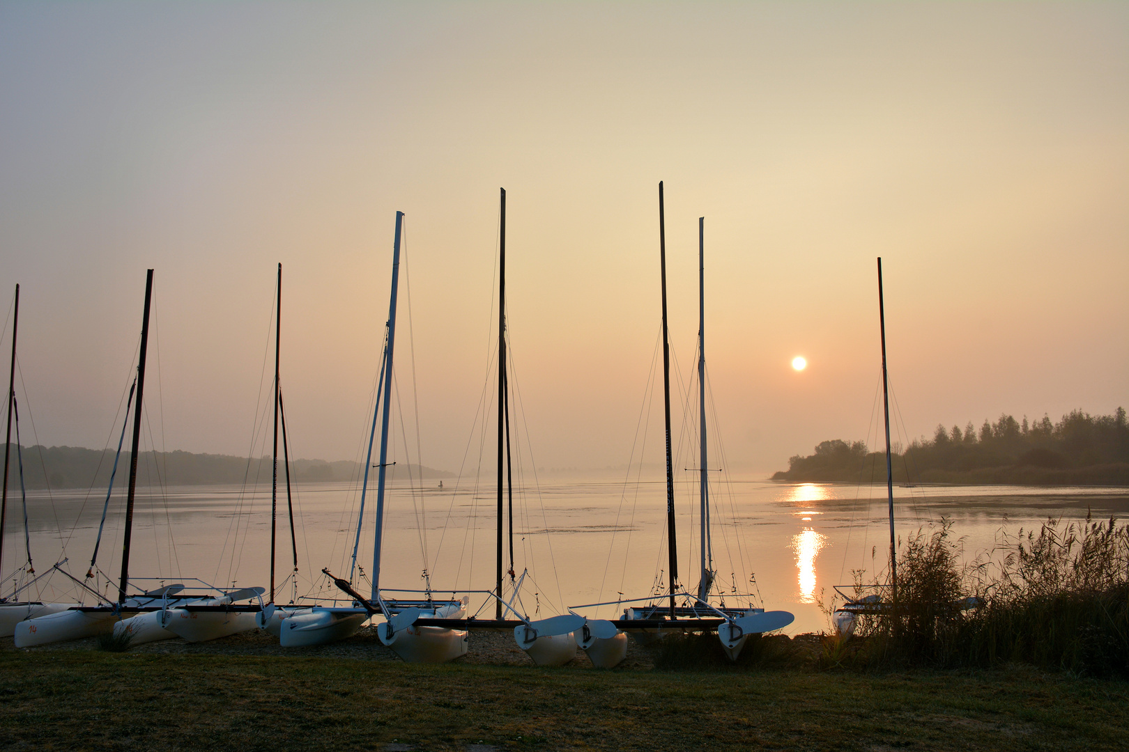 HERBST-NEBEL