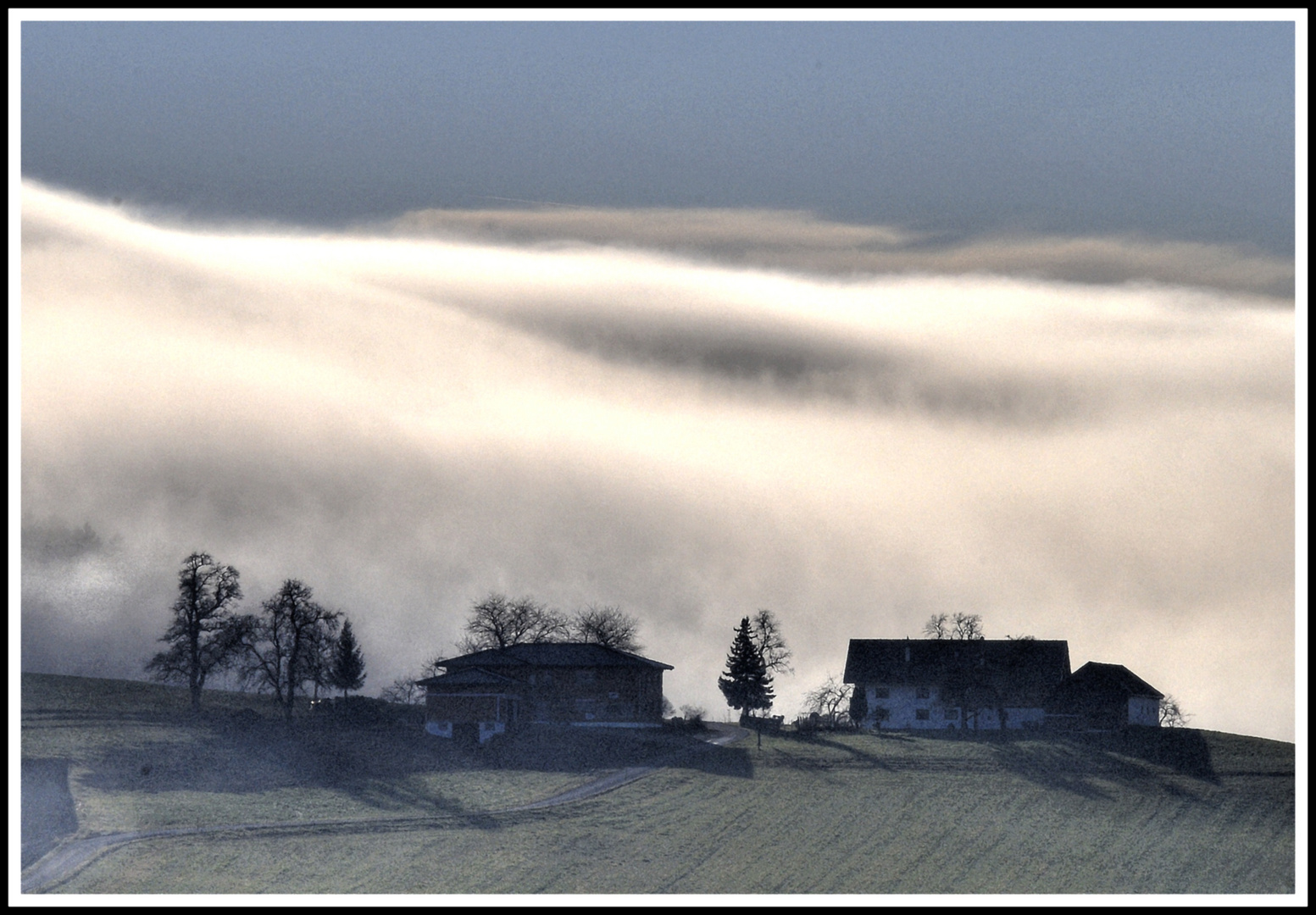 HERBST - NEBEL