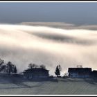 HERBST - NEBEL