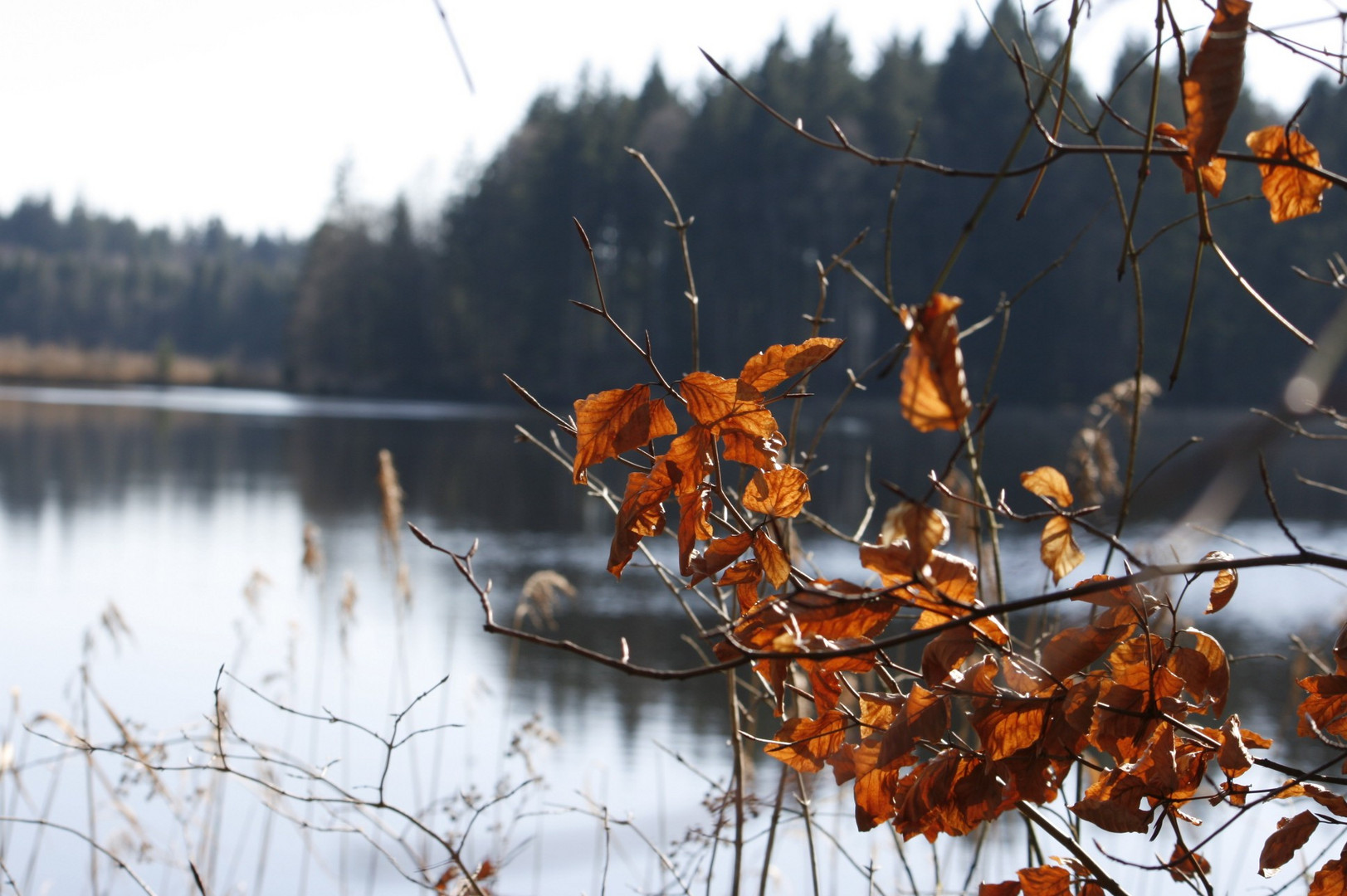 Herbst neigt sich dem Ende zu