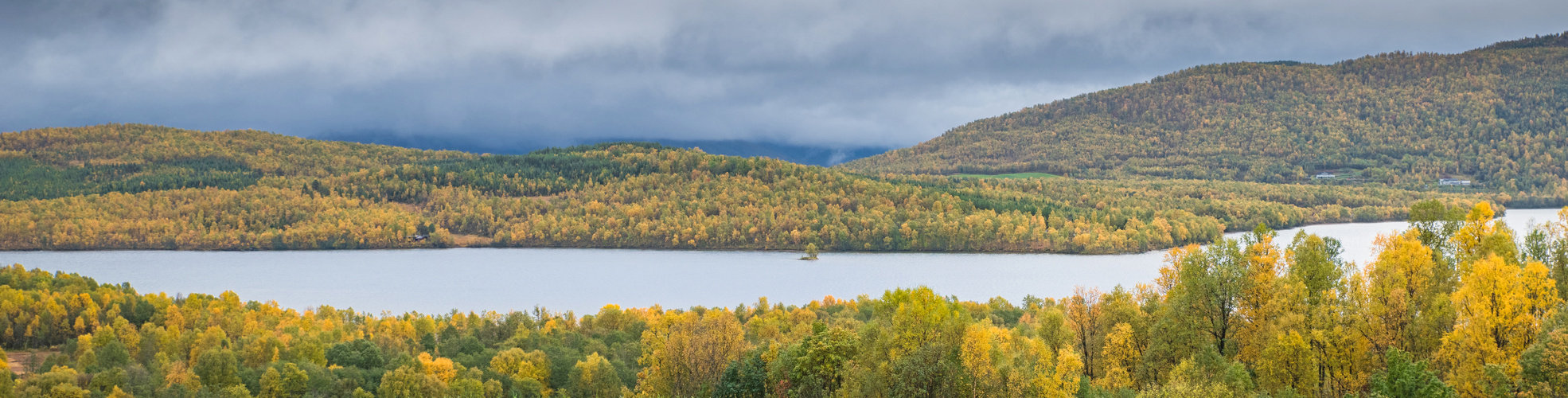 Herbst, nichts als Herbst