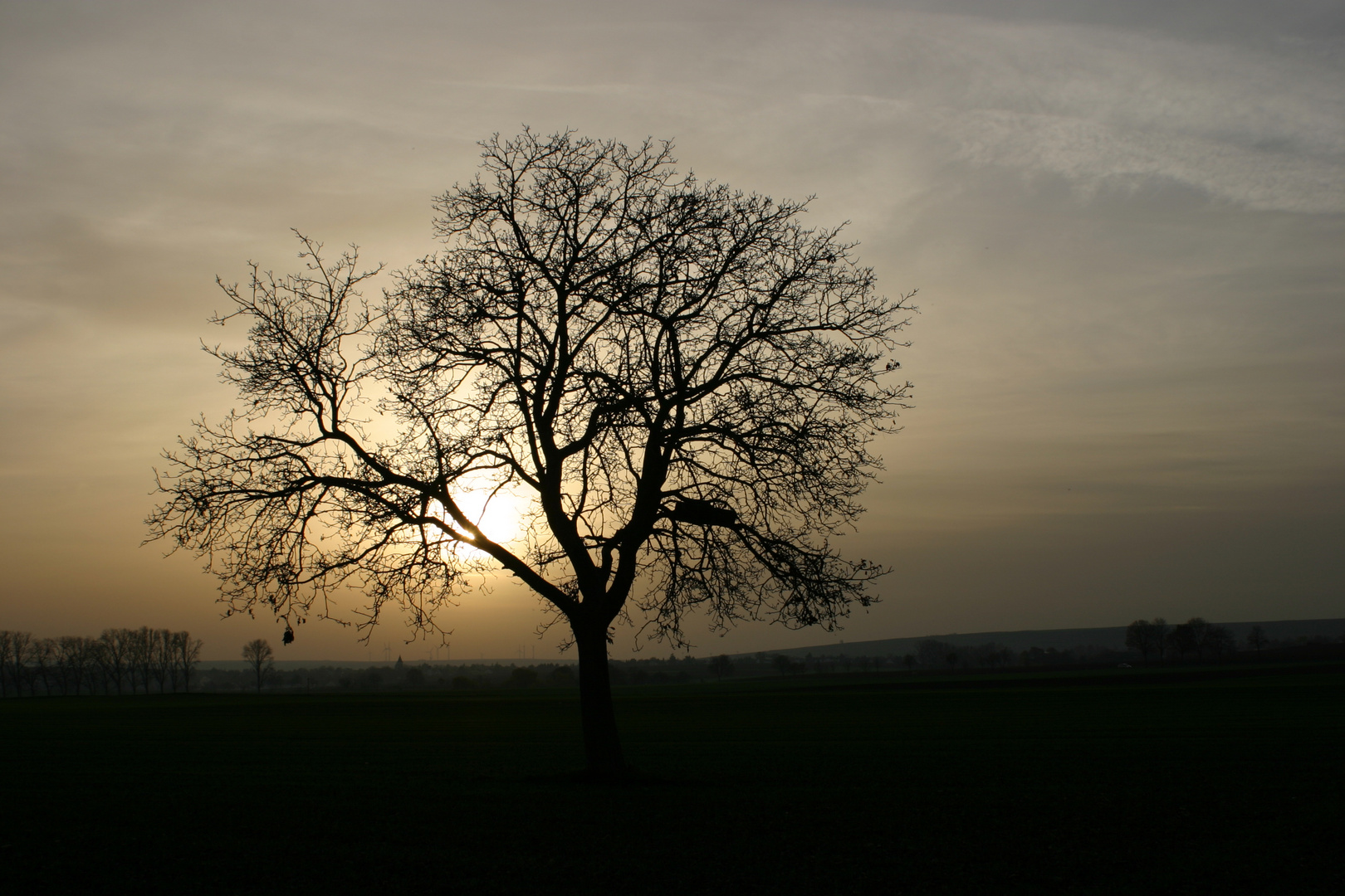 Herbst November