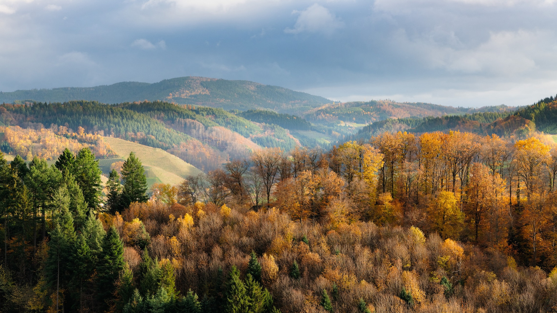 Herbst, November.