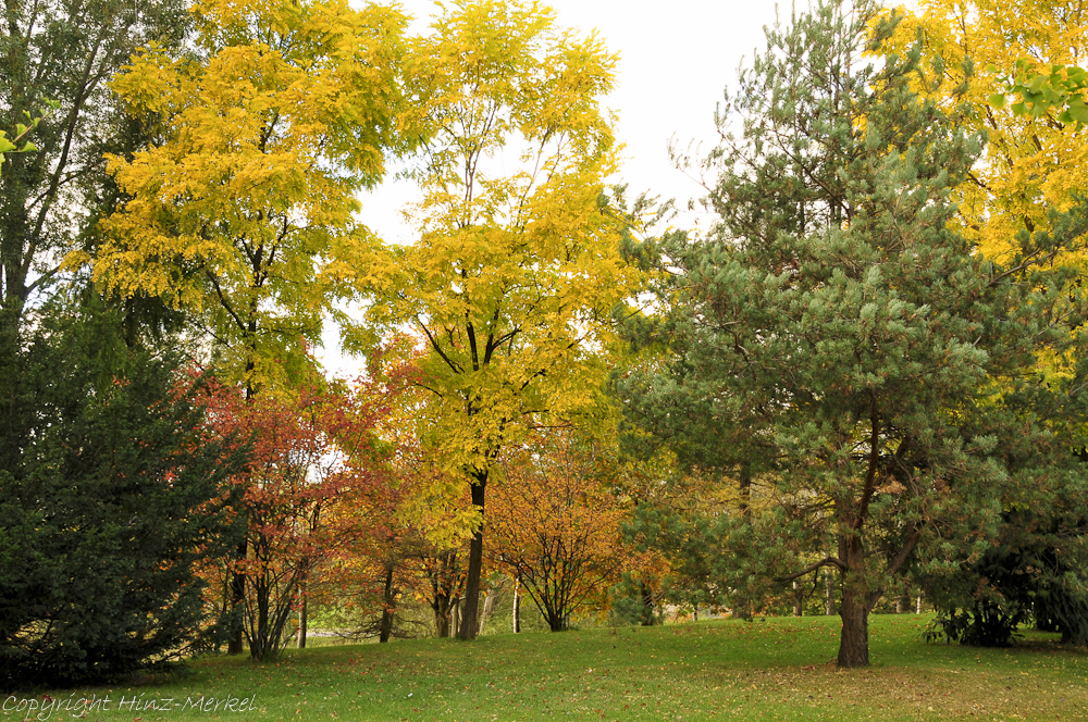 Herbst Nr. 1