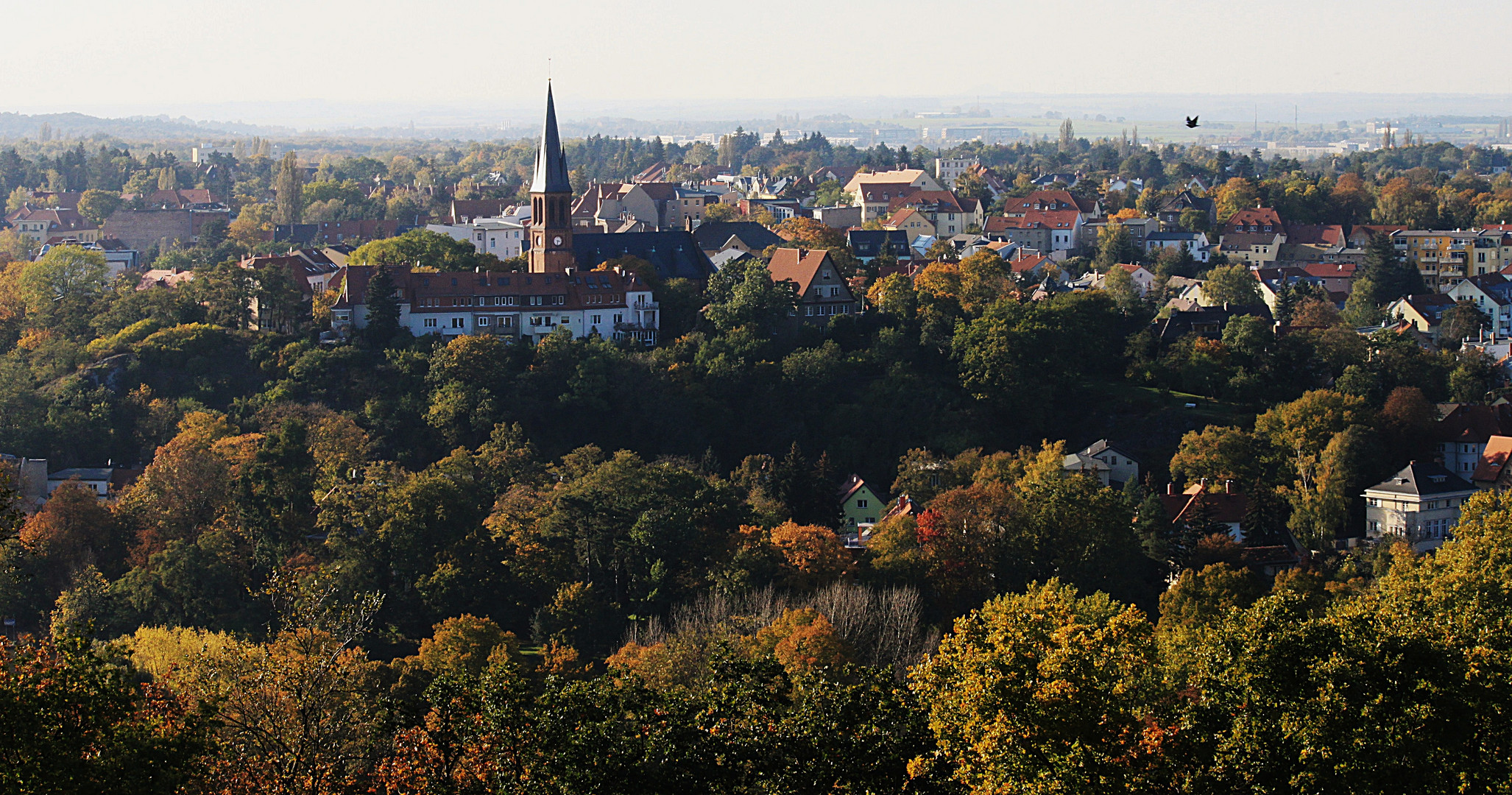 Herbst ...oben vom Turm !