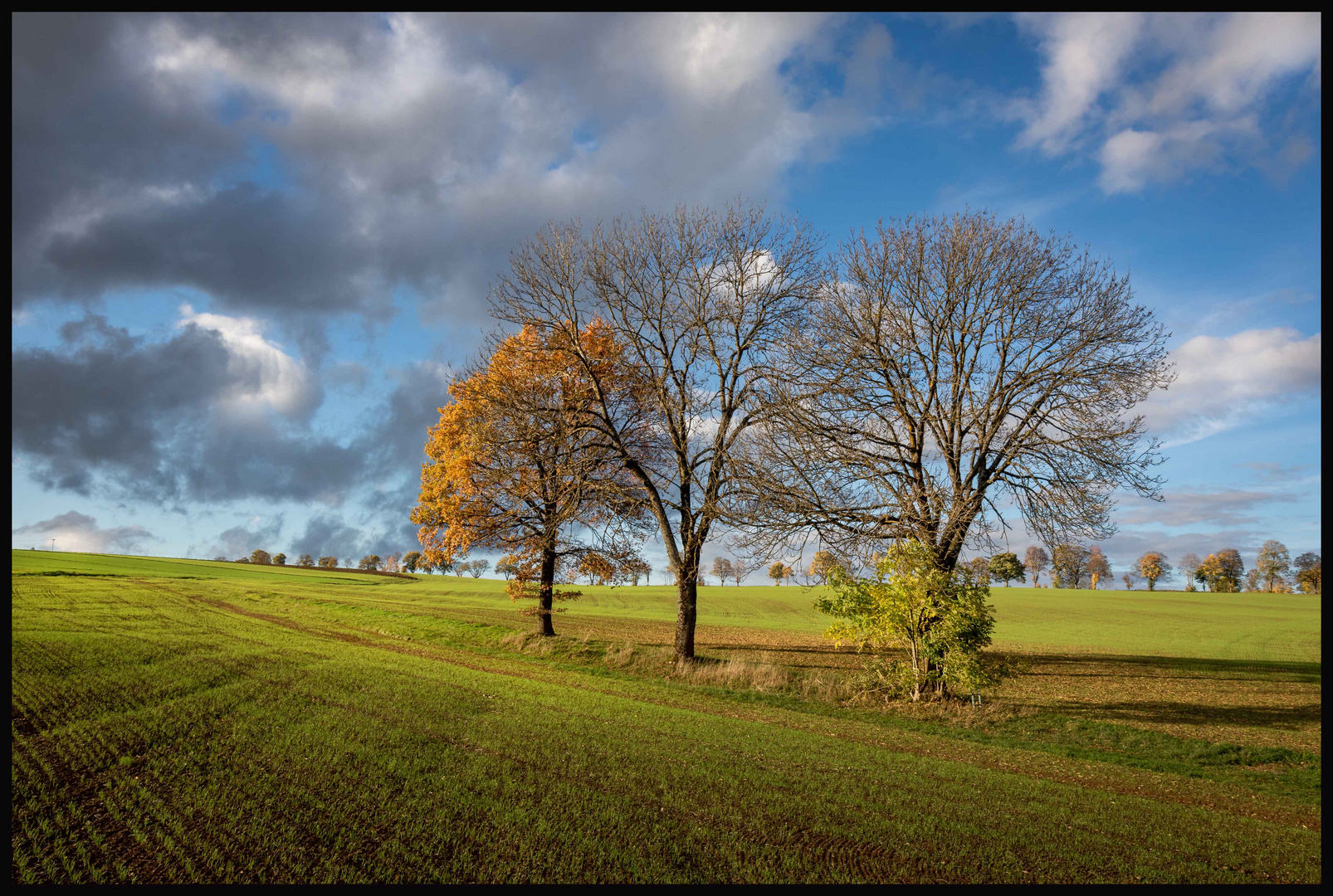 " Herbst Oberfranken/Bad Steben "