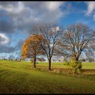 " Herbst Oberfranken/Bad Steben "