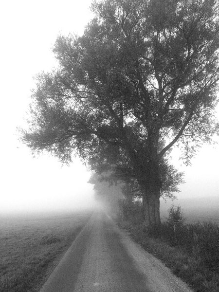 Herbst oder auch Spätsommer