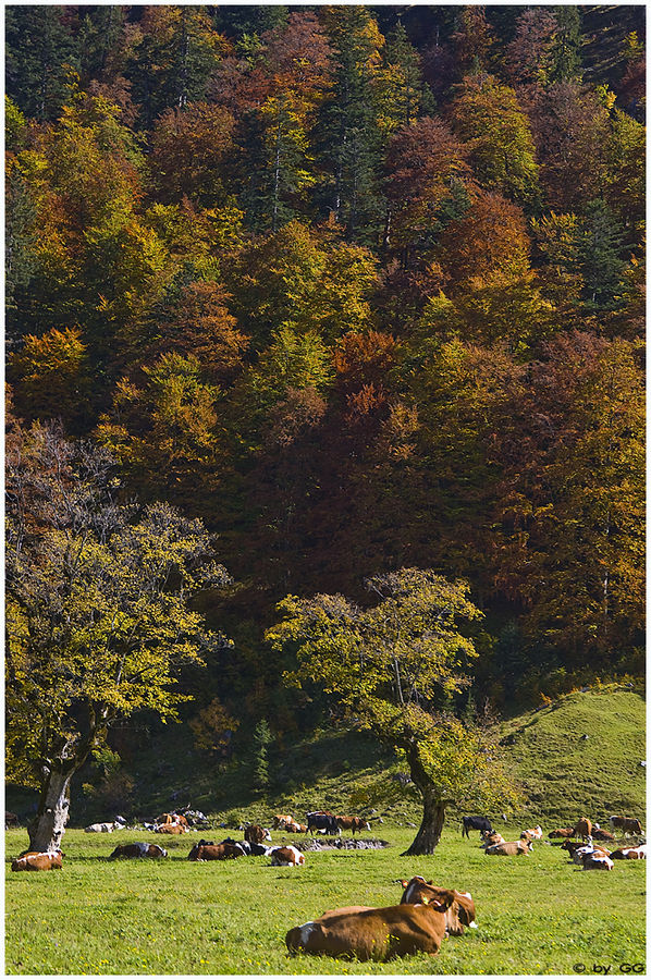 Herbst oder denglisch Indian Summer