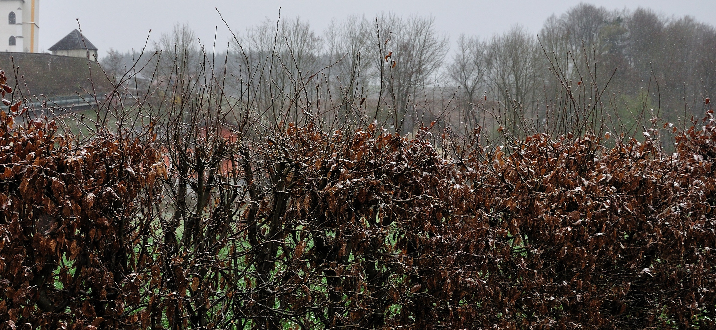 herbst oder doch frühling?