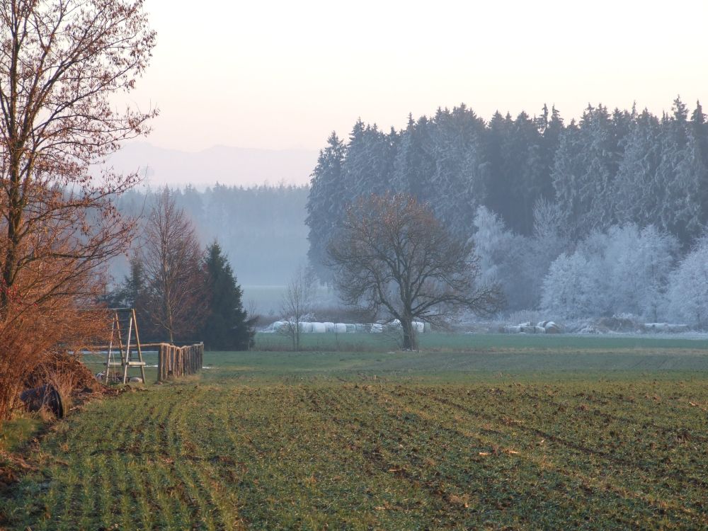 Herbst oder doch schon Winter?