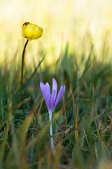 Herbst oder Frühling?