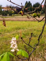 Herbst oder Frühling?