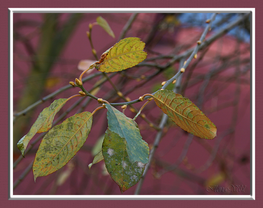 Herbst oder Frühling.......??