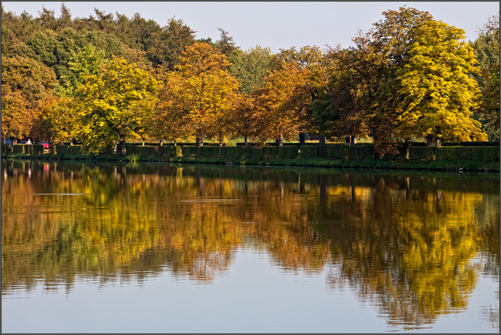 Herbst oder kranke Kastanien