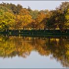 Herbst oder kranke Kastanien