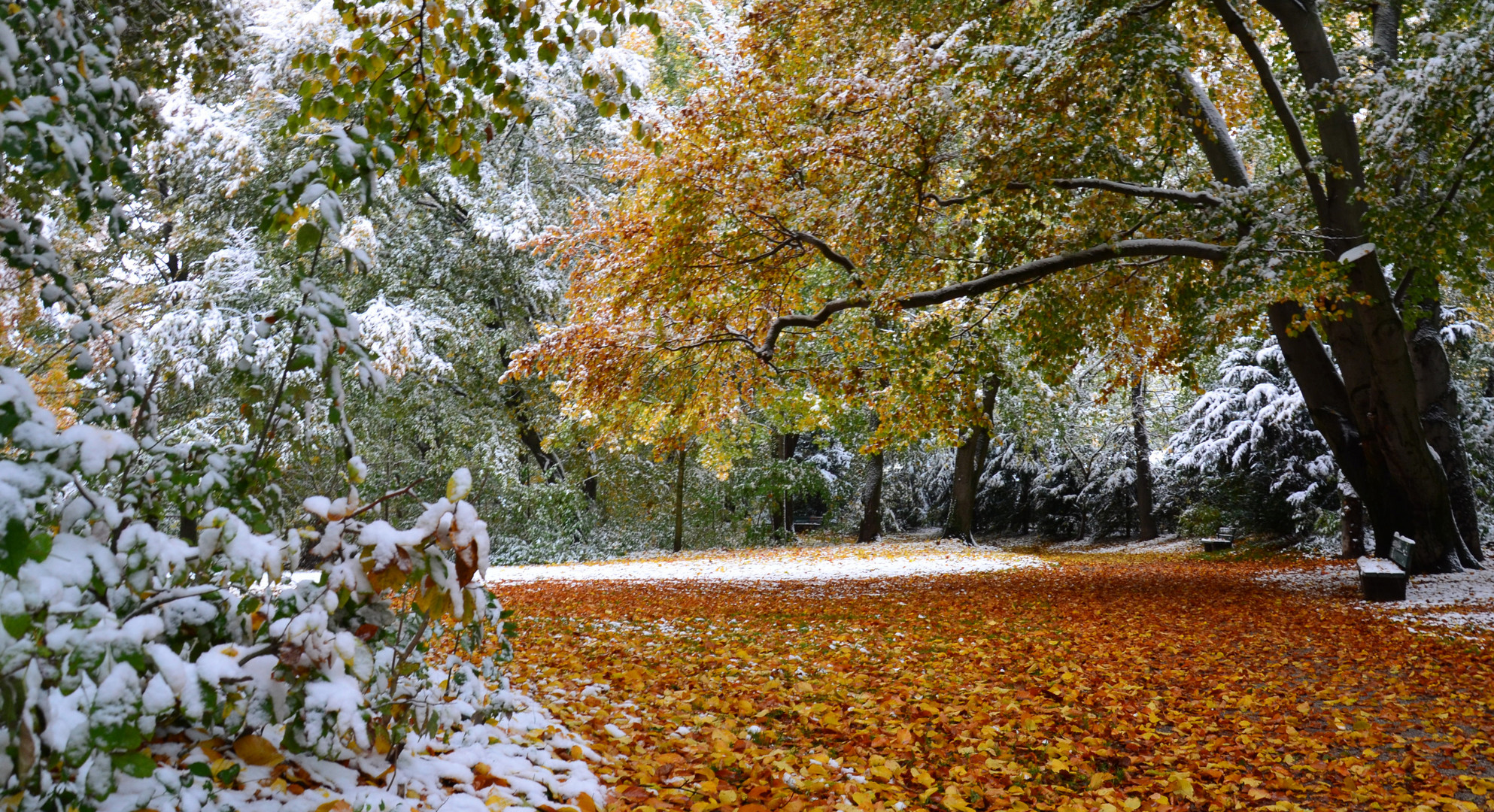 Herbst, oder schon Winter?