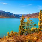 Herbst oder Spätsommer auf  Neuseeland