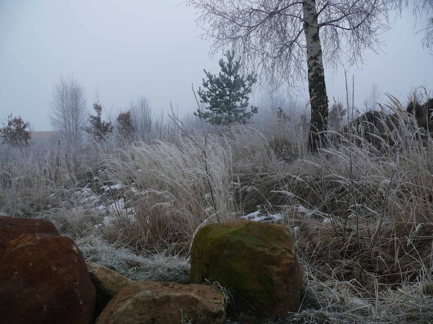 Herbst oder Winter?