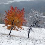 Herbst oder Winter