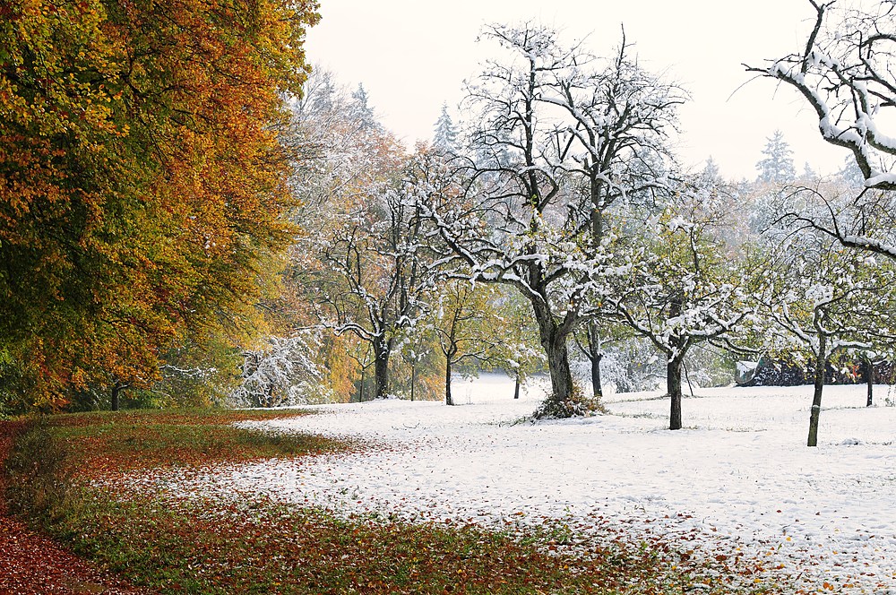 Herbst oder Winter?