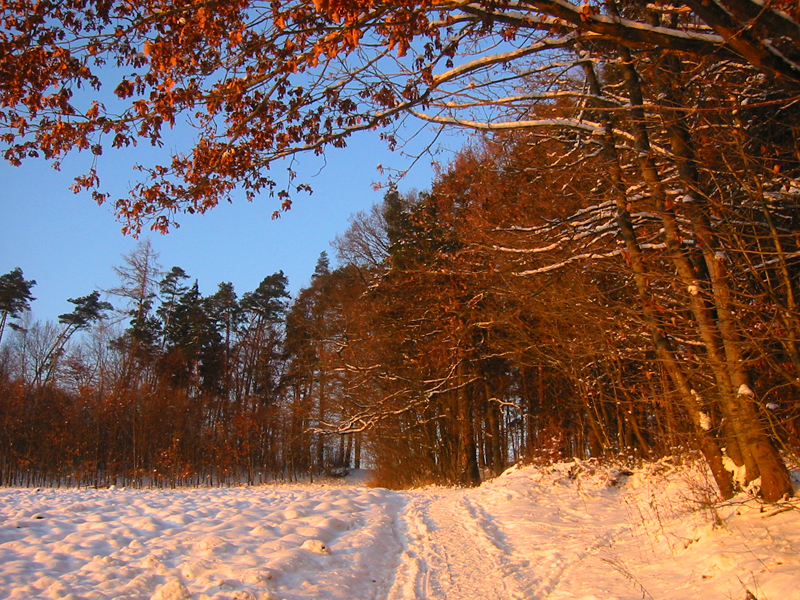 Herbst oder Winter?