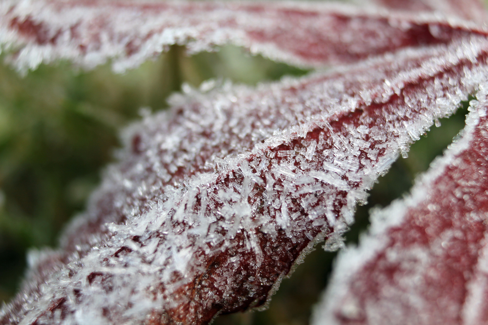 Herbst oder Winter?