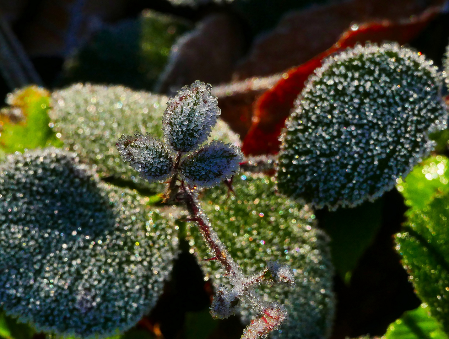 Herbst oder Winter 