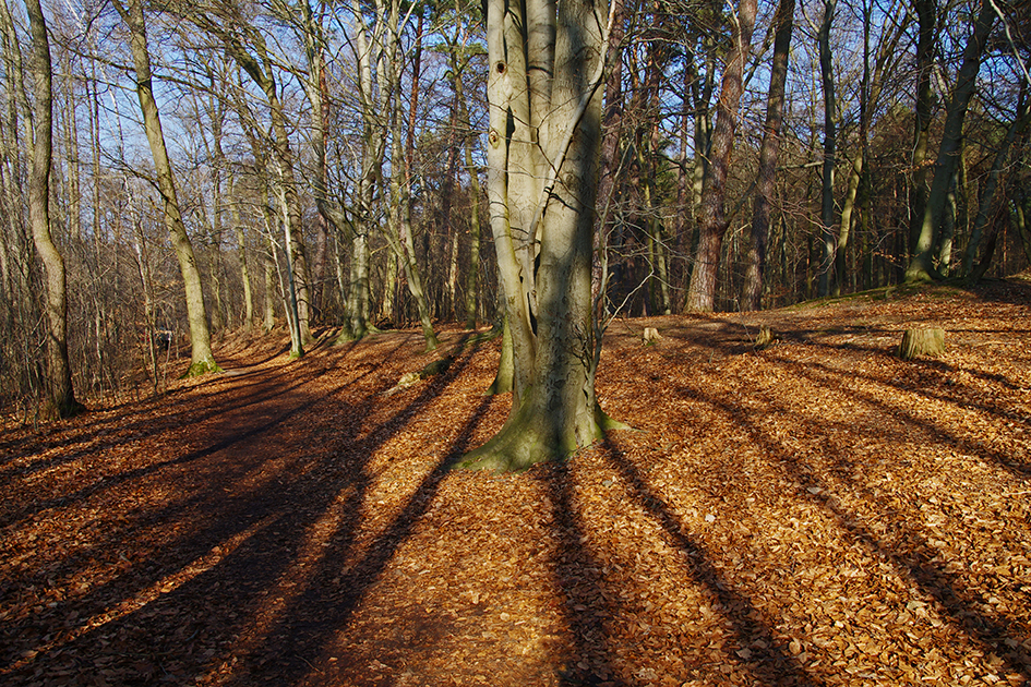 herbst oder winter