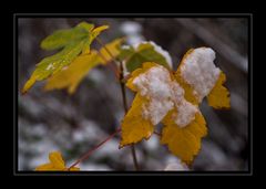 Herbst oder Winter?