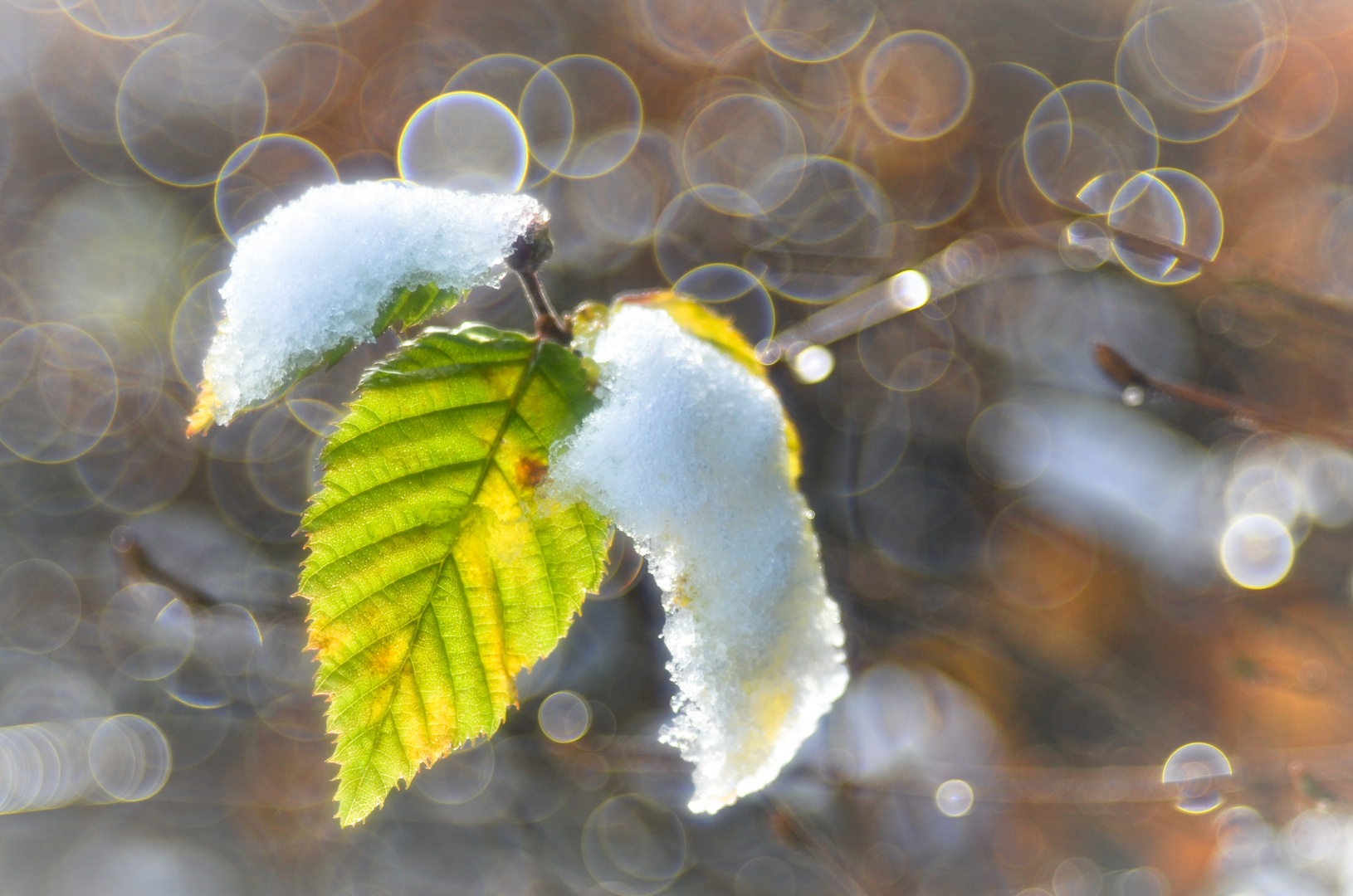 Herbst oder Winter?