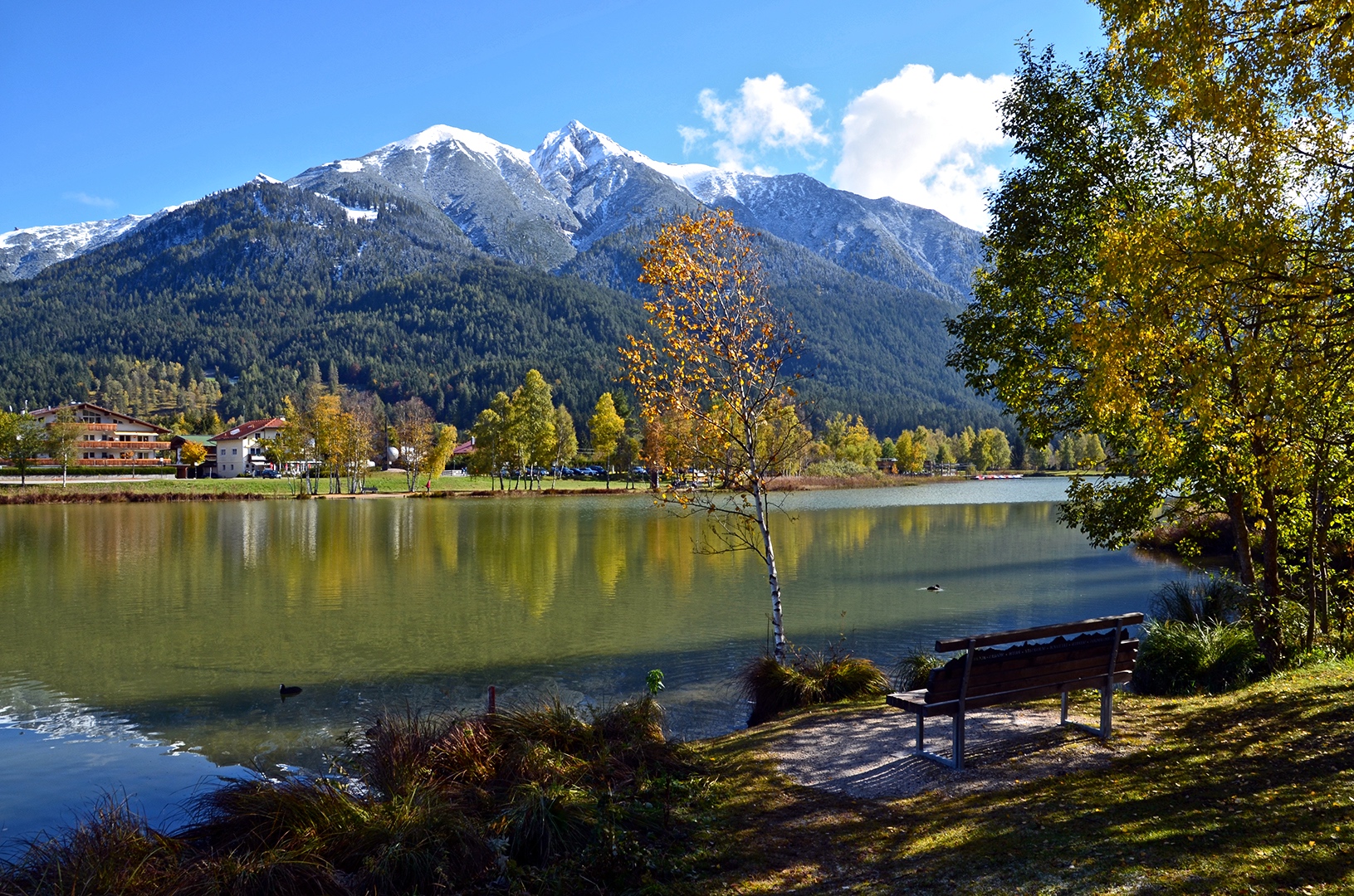 Herbst oder Winter