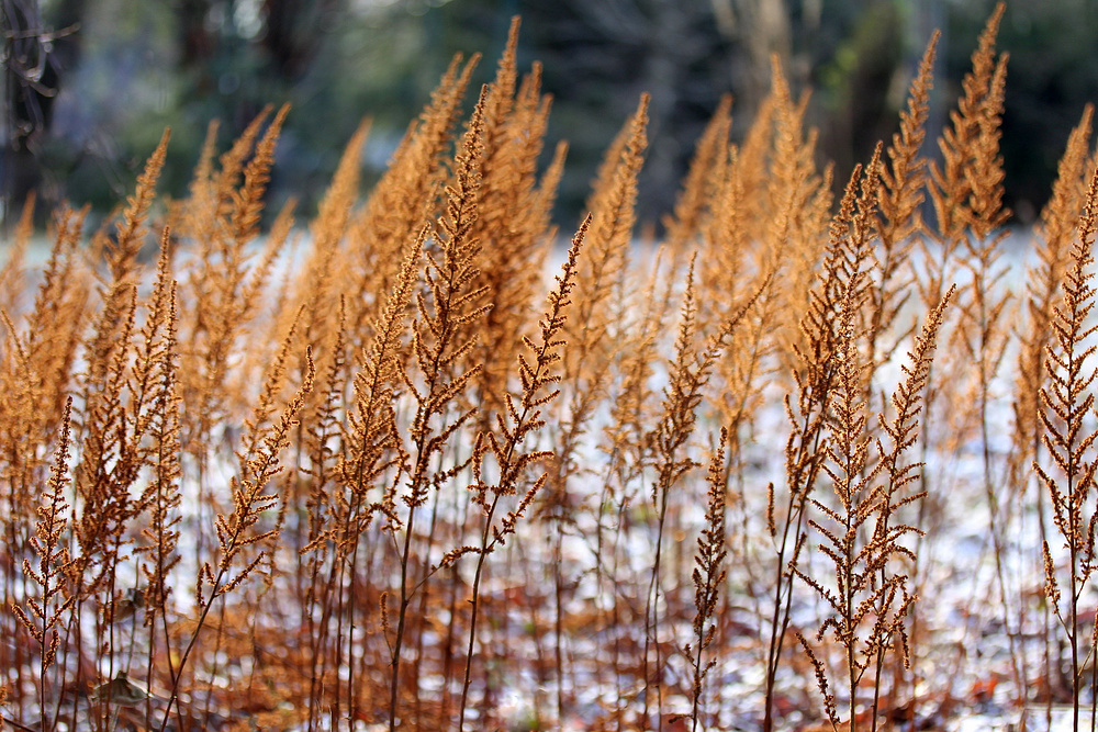 Herbst oder Winter?