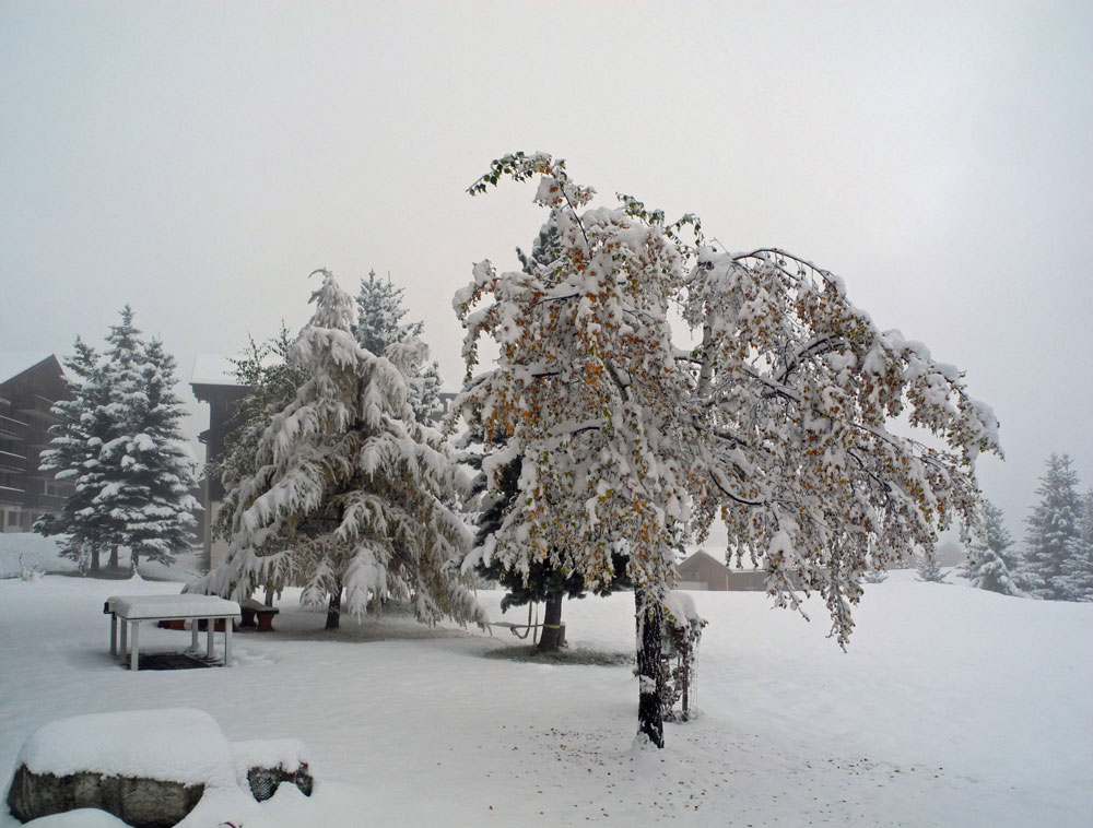 Herbst oder Wintereinbruch?