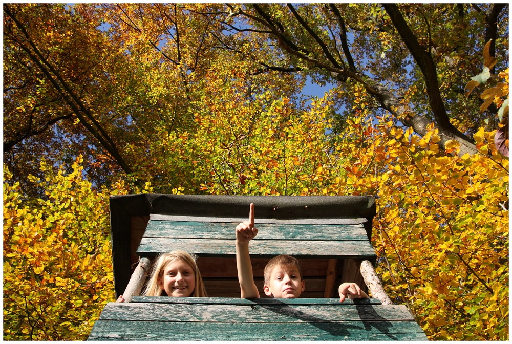 Herbst oder wo sind die Wildschweine?