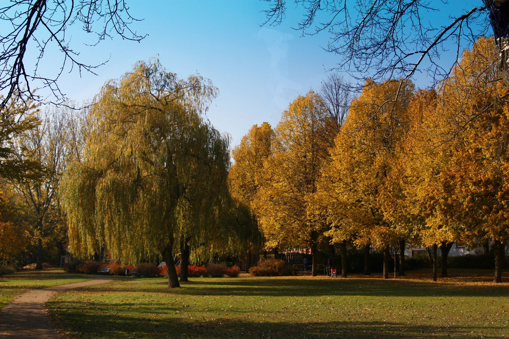 Herbst Okriftel 2