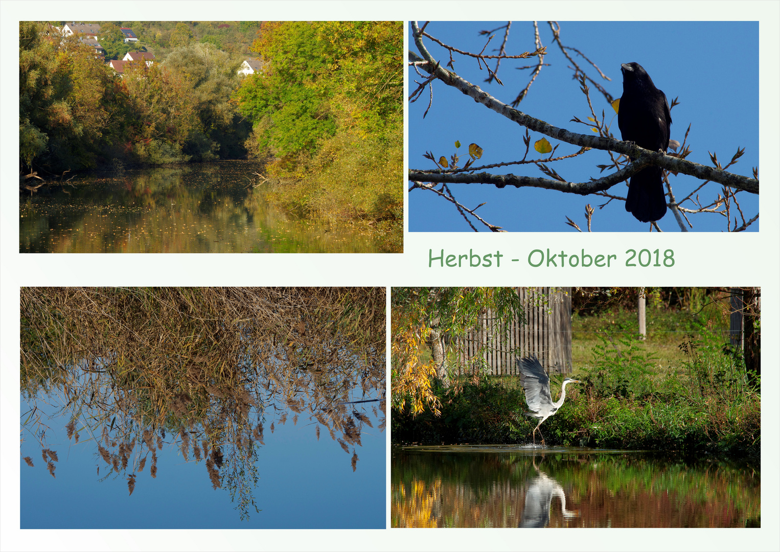 Herbst - Oktober 2018