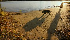 Herbst on the beach