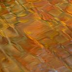 Herbst – Orange im Teich 01